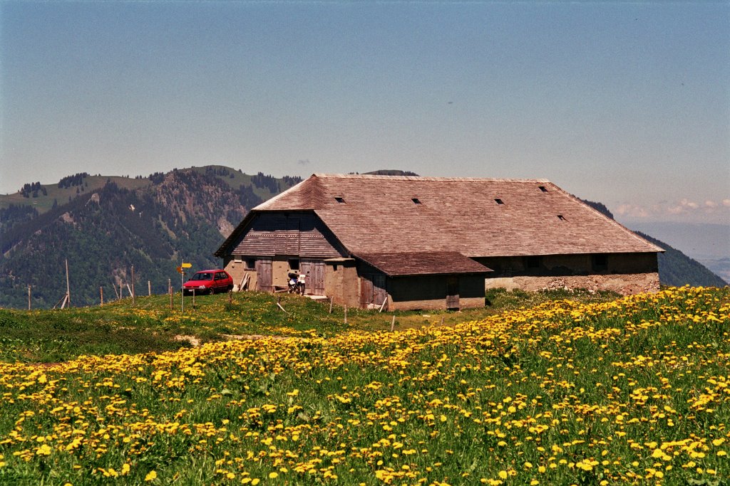 Le chalet de La Brâ, 1461m. by Valentin Vuichard