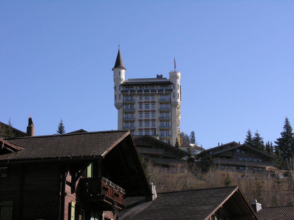 A view of Palace Hotel by madmaxvr