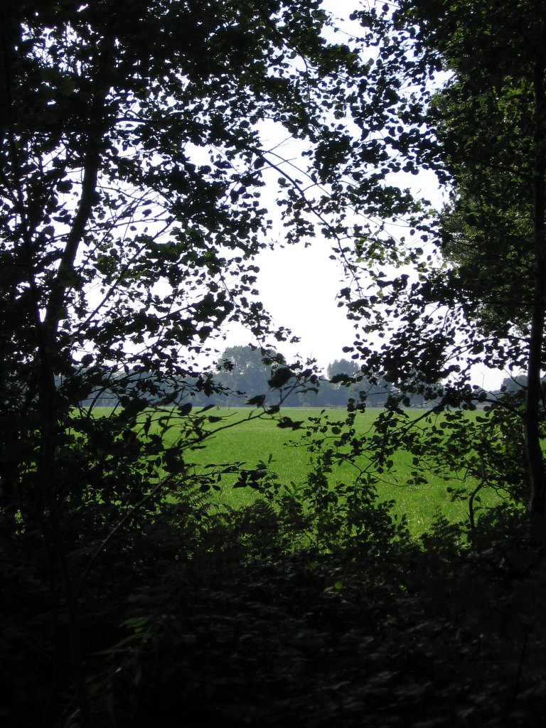 Vanaf schoollaan, doorkijkje zuid-west by Vectisnunsuch