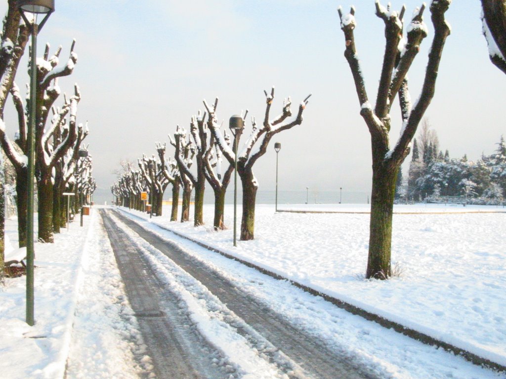 Rivoltella Spiaggia d'oro al lago d'inverno con la neve. by Tisi Alessandro