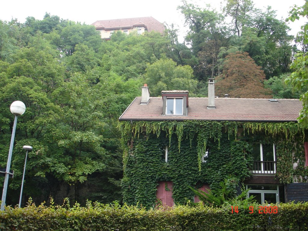 Geneva - Switzerland by Louis M. Horta