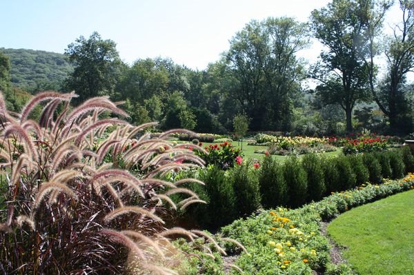 Annual Garden by Susanna Varga