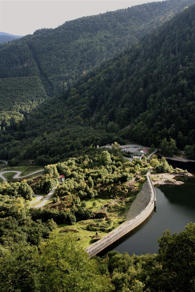 Lac d'alfeld by michel rieffly