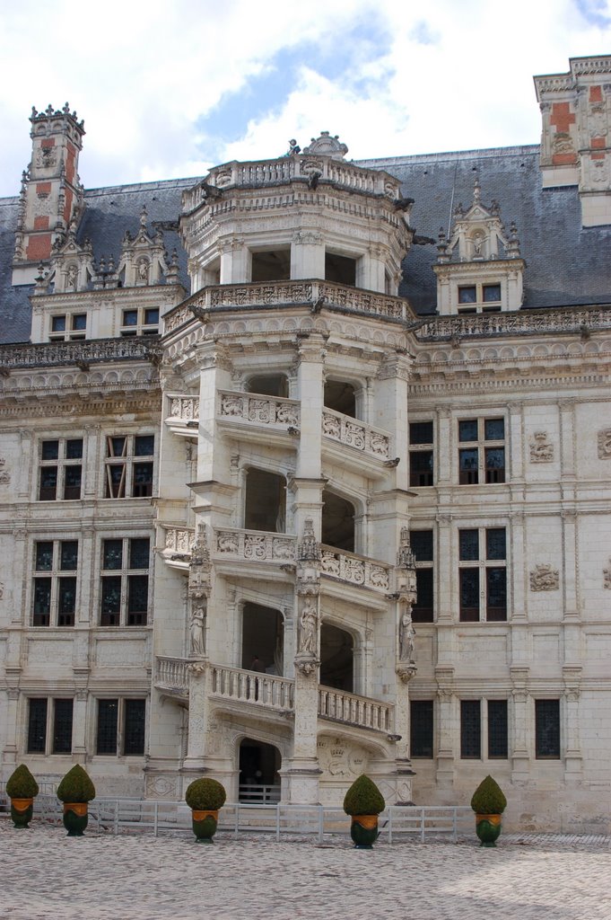 Chateau de blois by Stephane Boulnois