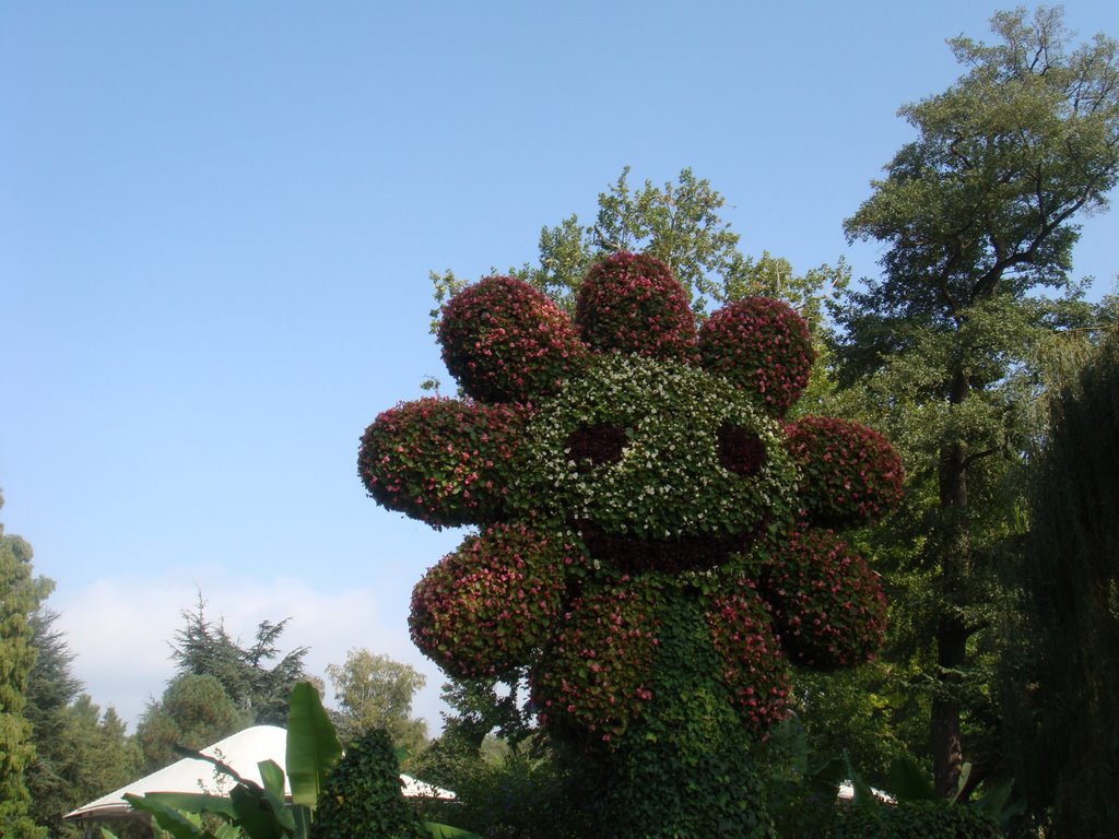 Die Blume, Mainau by Magdalencjusz