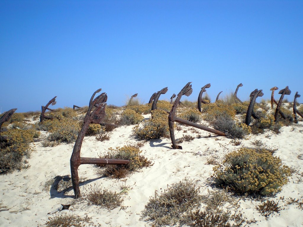 Pedras del Rey, anchors cemetery at praia do Barril - August 2008 by Roberto Bubnich