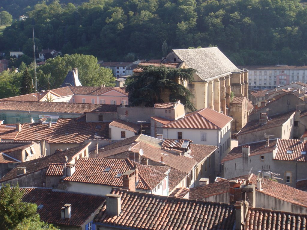 Vista Foix desde do Castelo by Jose Pinto