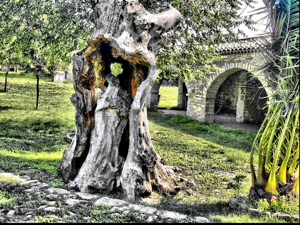 Cortile sant'Elia Nuragus by paolettod