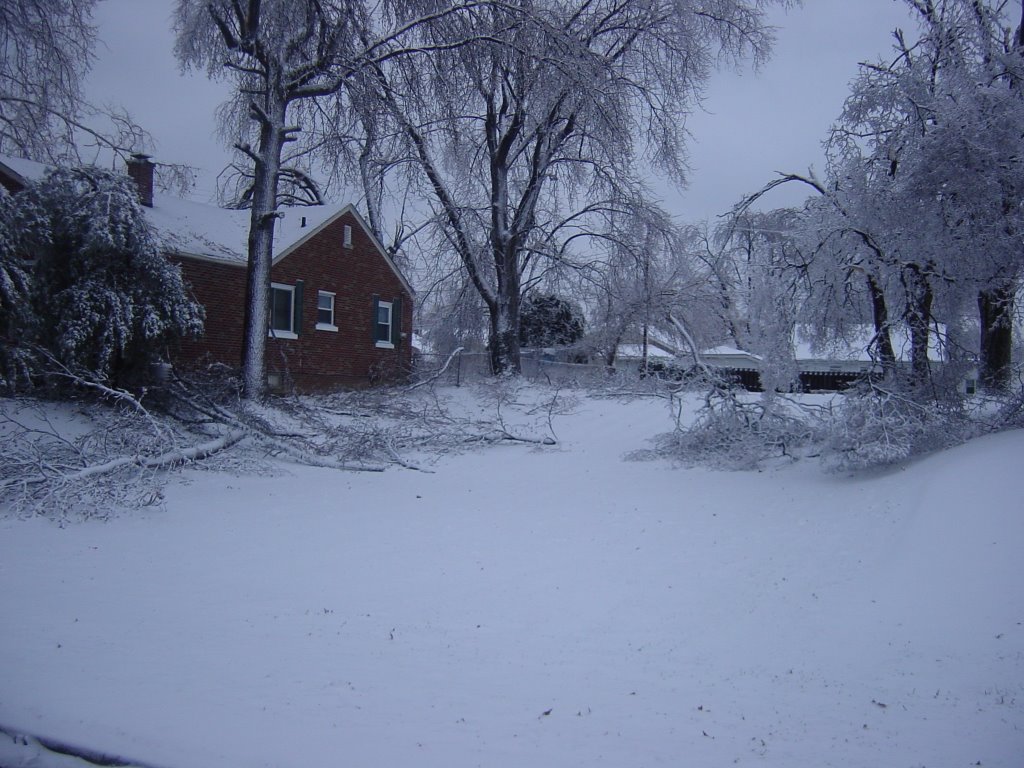 06' Ice Storm on S 78th St by wemapstuff.com