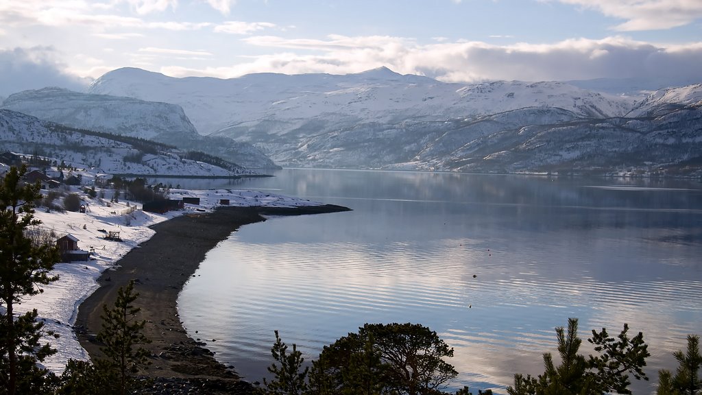 Stranden i Apanes med Kåfjorden og Halddetoppen i det fjerne by Roy-Erik Andersen