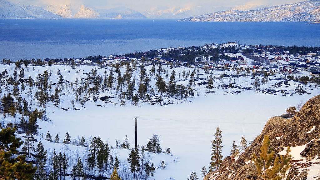 Gakorivannet med utsikt over Jemmeluft/Jiepmaluokta og Altafjorden by Roy-Erik Andersen