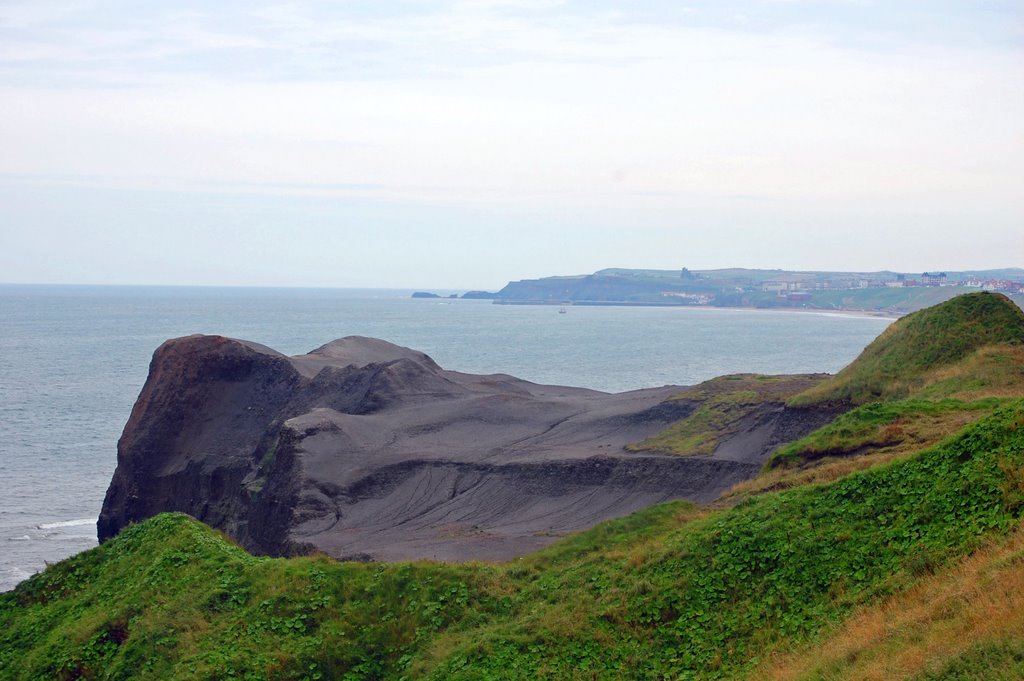 Cliffs near Sandsend by Paula K