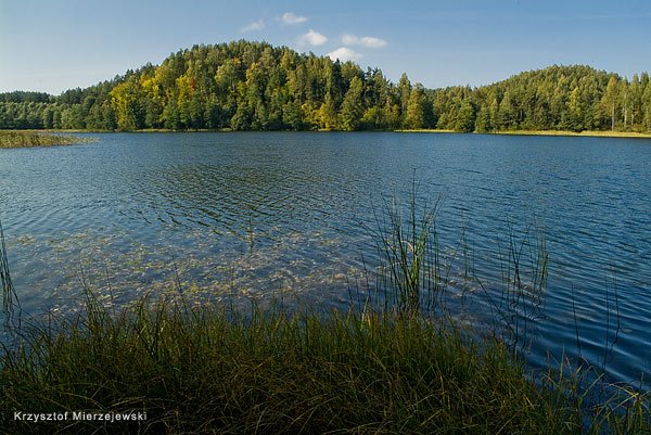 Czajewszczyzna. Suwalski Park Krajobrazowy by Krzysztof Mierzejewski