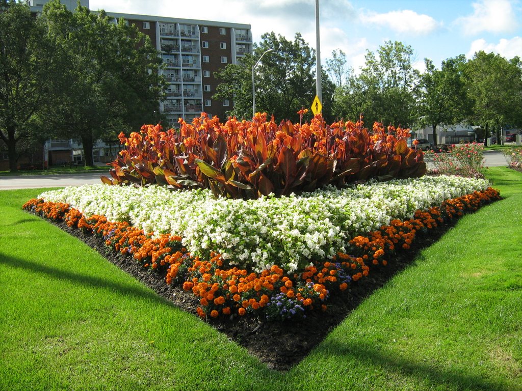 Lorne park floral display by arejay