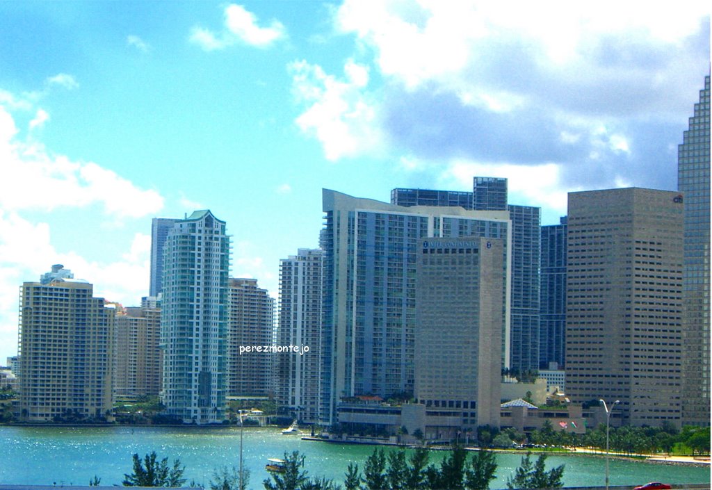 Downtown has the largest concentration of international banks in the country located mostly in Brickell, Miami's financial district. Miami was also the host city of the 2003 Free Trade Area of the Americas negotiations, and is one of the leading candidates to become the trading bloc's headquarters. by perezmontejo