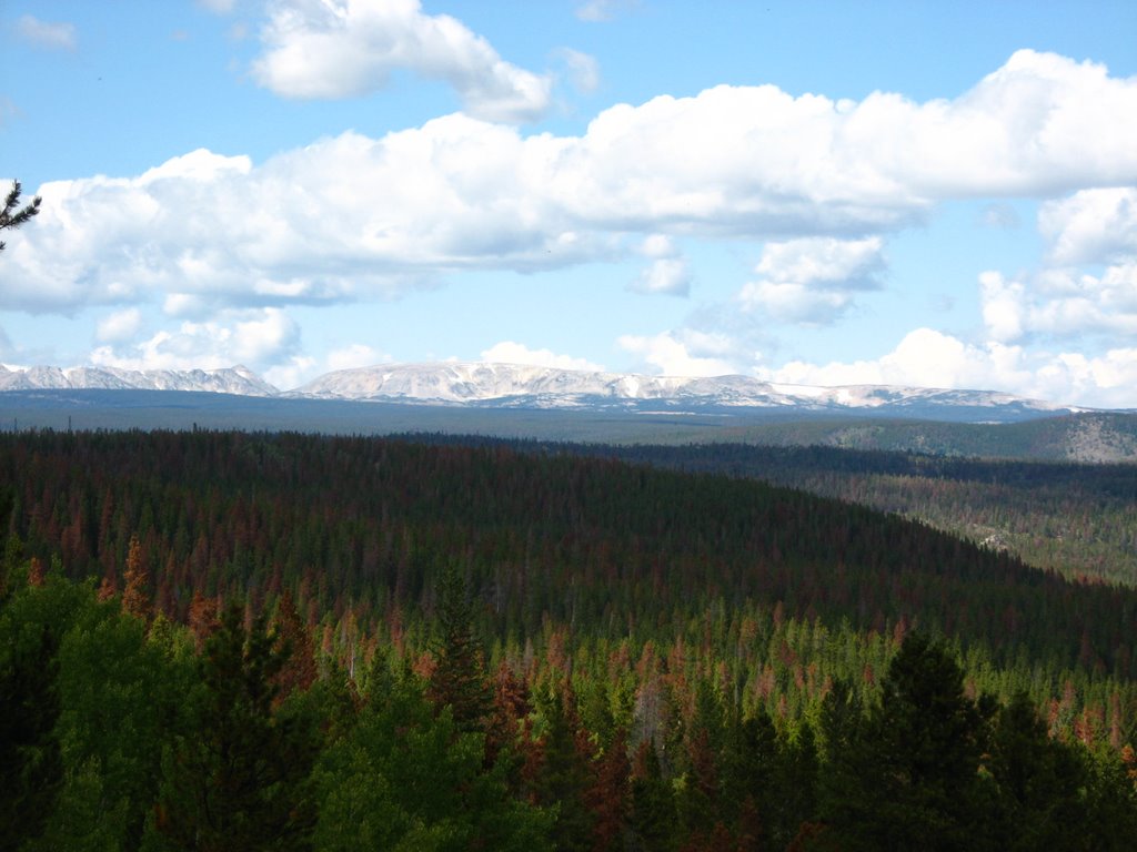 The Snowies from Ridge S. of Albany by RalphieWyoWyo