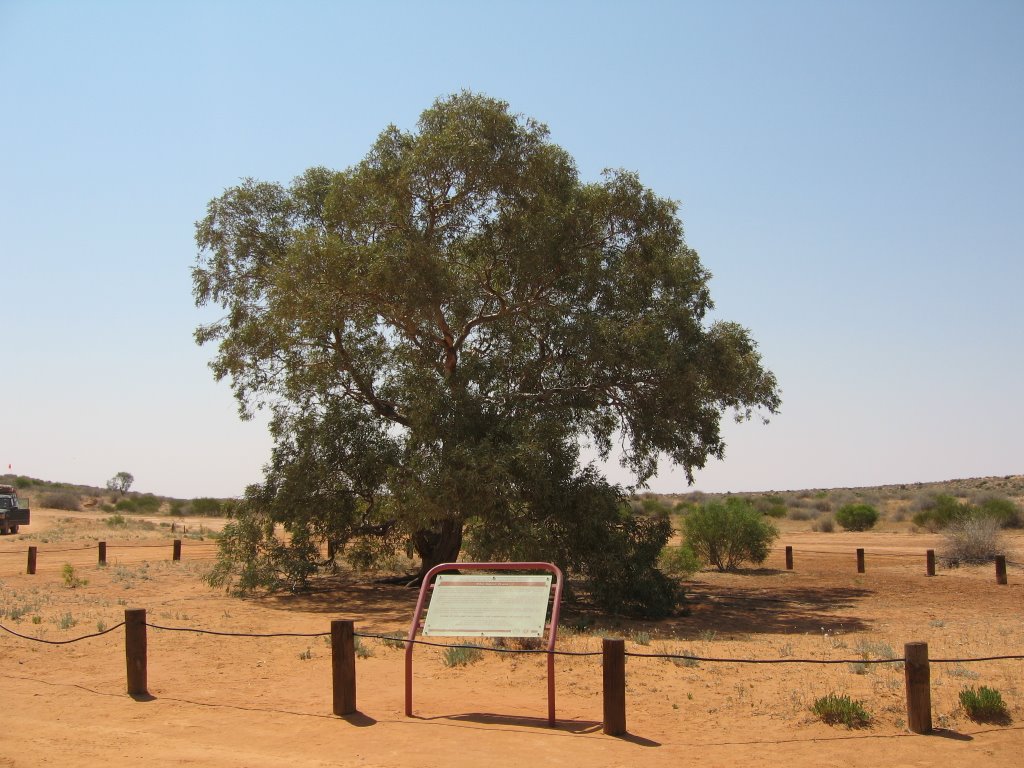 The Lone Gum Sept 2005 by HD067