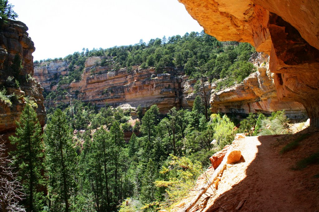 Cape Royal-Grand Canyon...C by americatramp