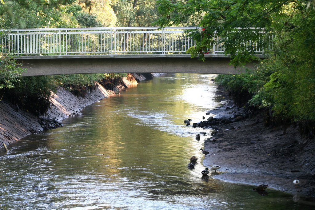 Buxtehude: der Este ist das Wasser ausgegangen by picotuna