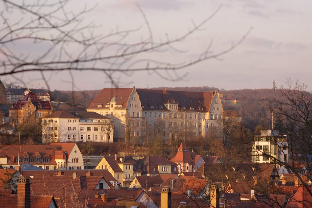 Tübingen, Germany by u.bartzschmidt@gmail…