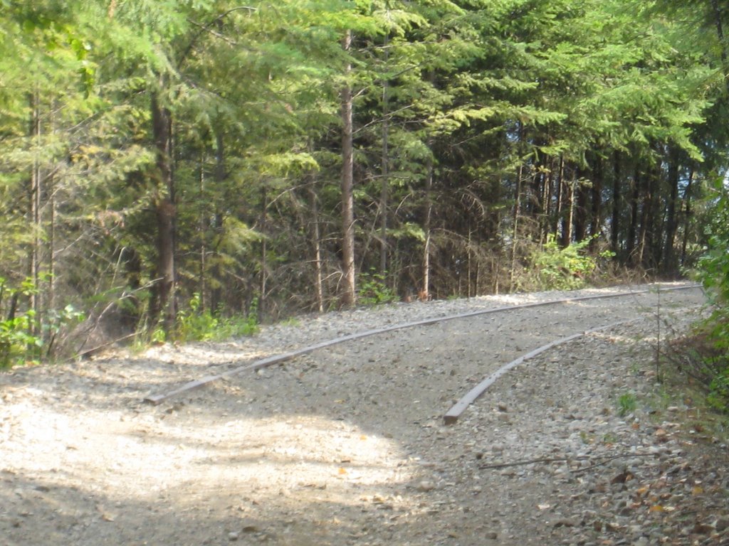 Kettle Valley Railway Trail Castlegar - End of the Tracks by Dean Johnson