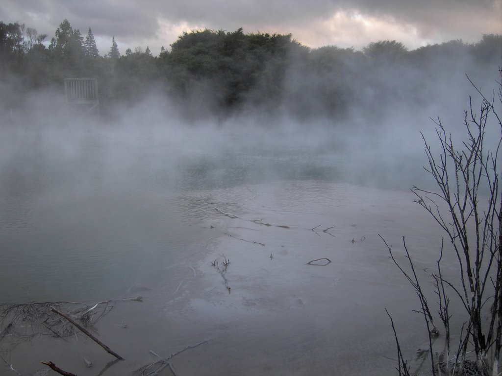 Rotorua by MoFa Opl