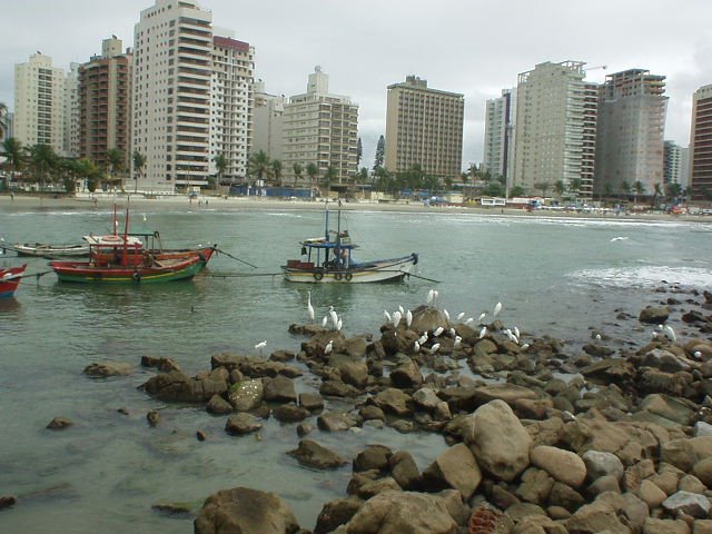 Barcos e aves nas Asturias by João Carlos Mompean