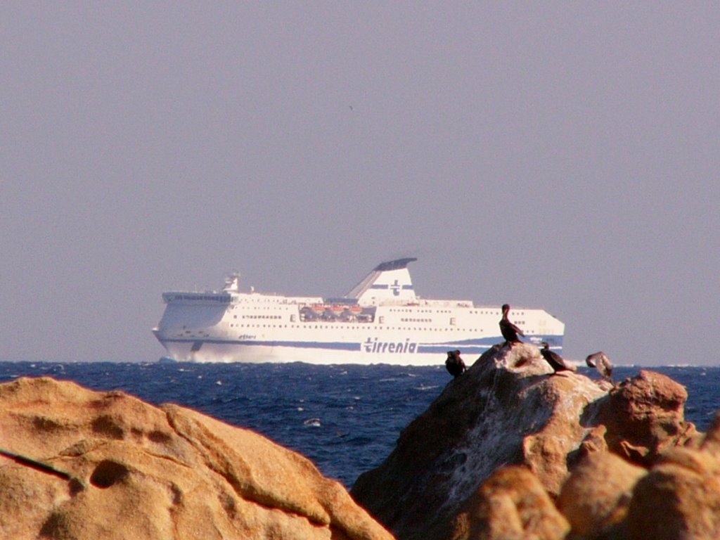 Capo Comino - Cormorani e nave by ilnani