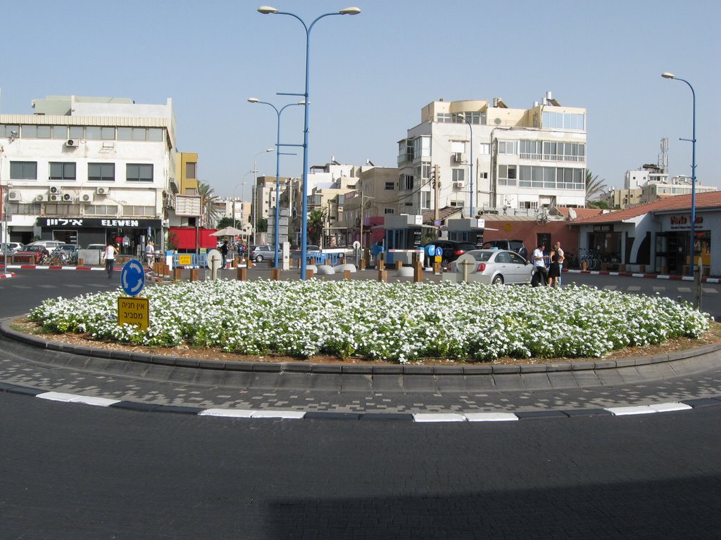 Tel Aviv-Yafo, Israel by zroiy