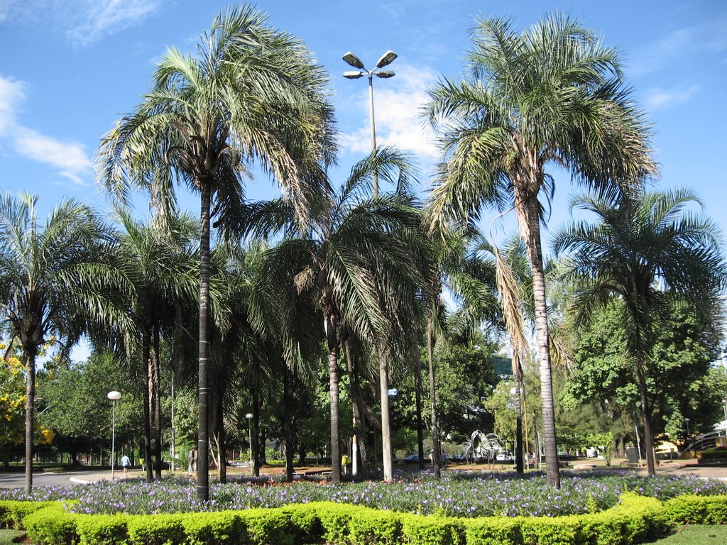 Vista do alto da Praça Universitária by Sobral, Divino