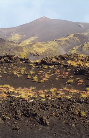 La primavera sull'Etna by Max Serradifalco