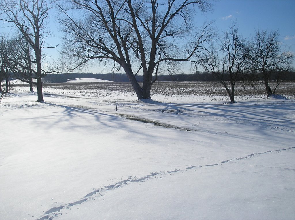 Winter time on Annis Ferry Farm 08 by Andrea Lawrence