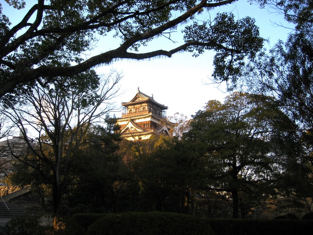 Carp castle, Hiroshima by Trung Đức