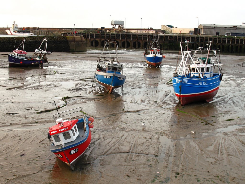 Folkestone by Dushev