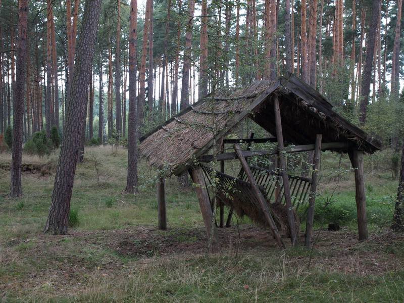 Gmina Kurzętnik, Poland by jacek d