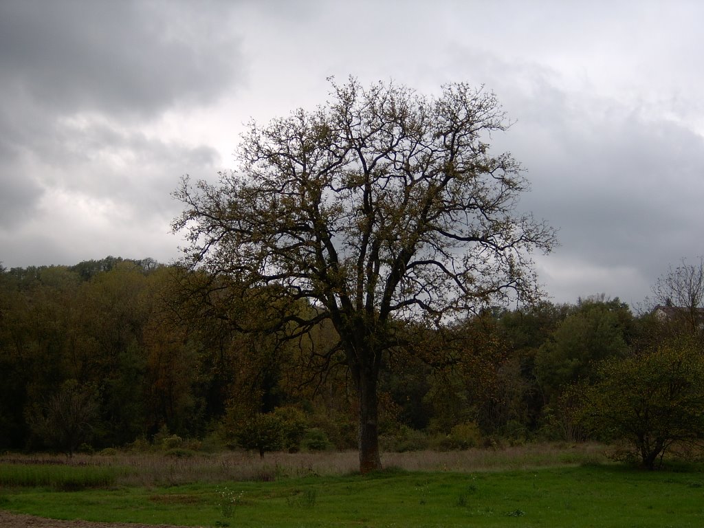 Campagna intorno a Frasassi by zimarrella