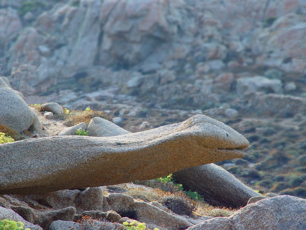 I-Stone Snake by ichbins bernd