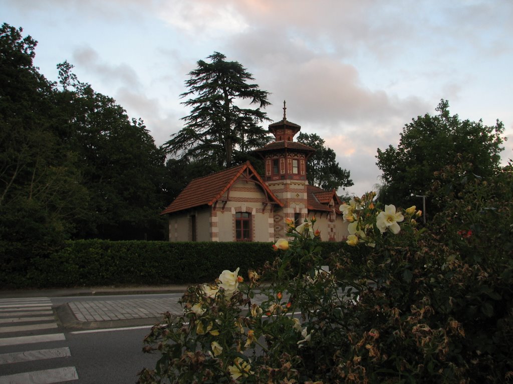 La Roche-sur-Yon by mazurchikk