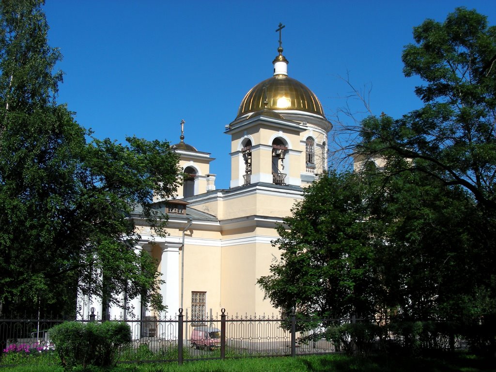 Кафедральный собор св. блгв. вел. кн. Александра Невского (г. Петрозаводск Республики Карелия) by Максим Яшин