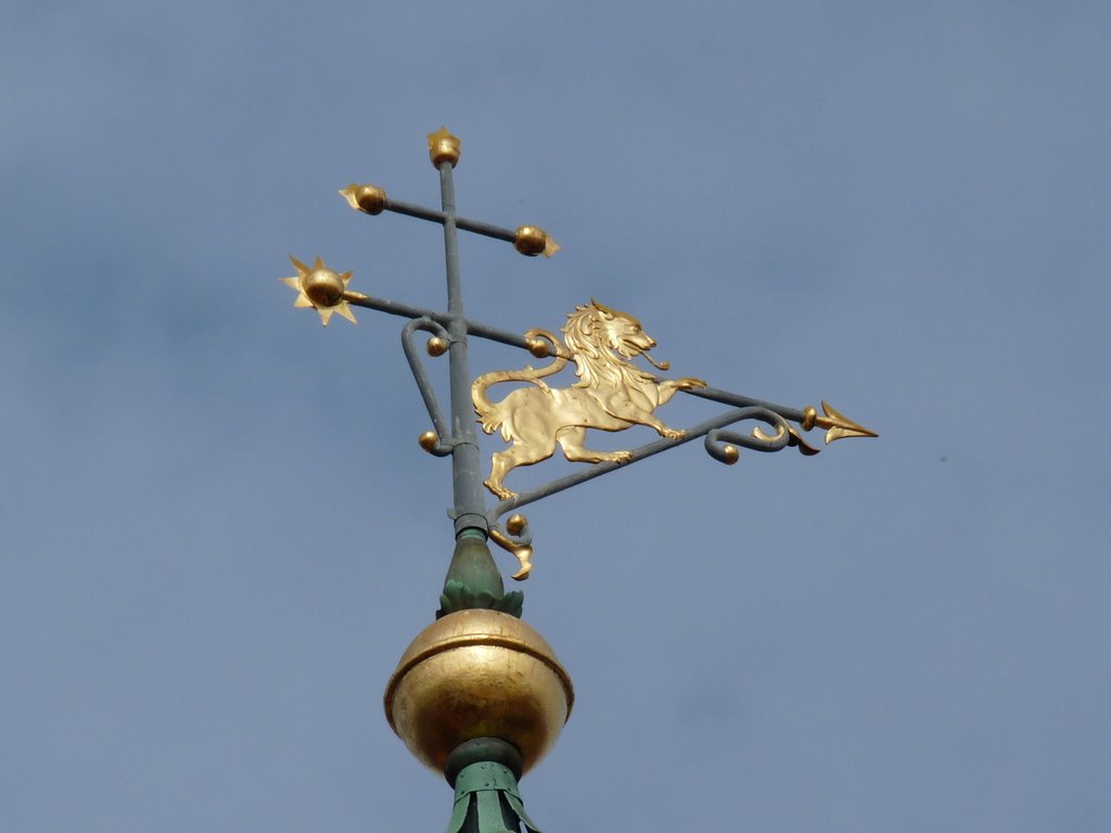 Wetterfahne auf dem Rathaus in Lüneburg by mimi.handorf