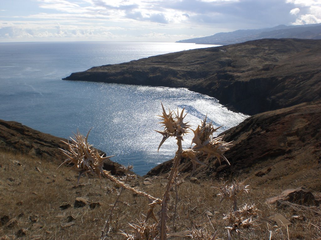 Baia de Abra by jorgeantunes