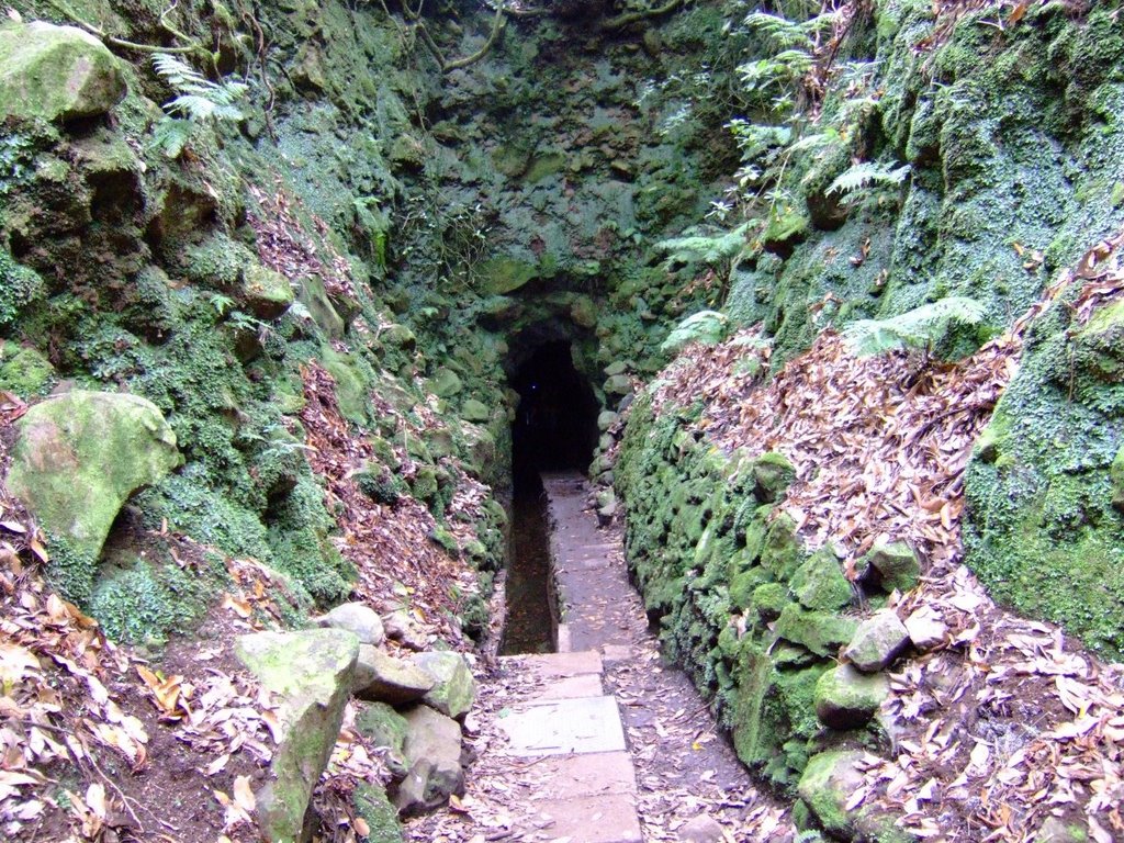 Levada do Caldeirao Verde - tunel by sralf72