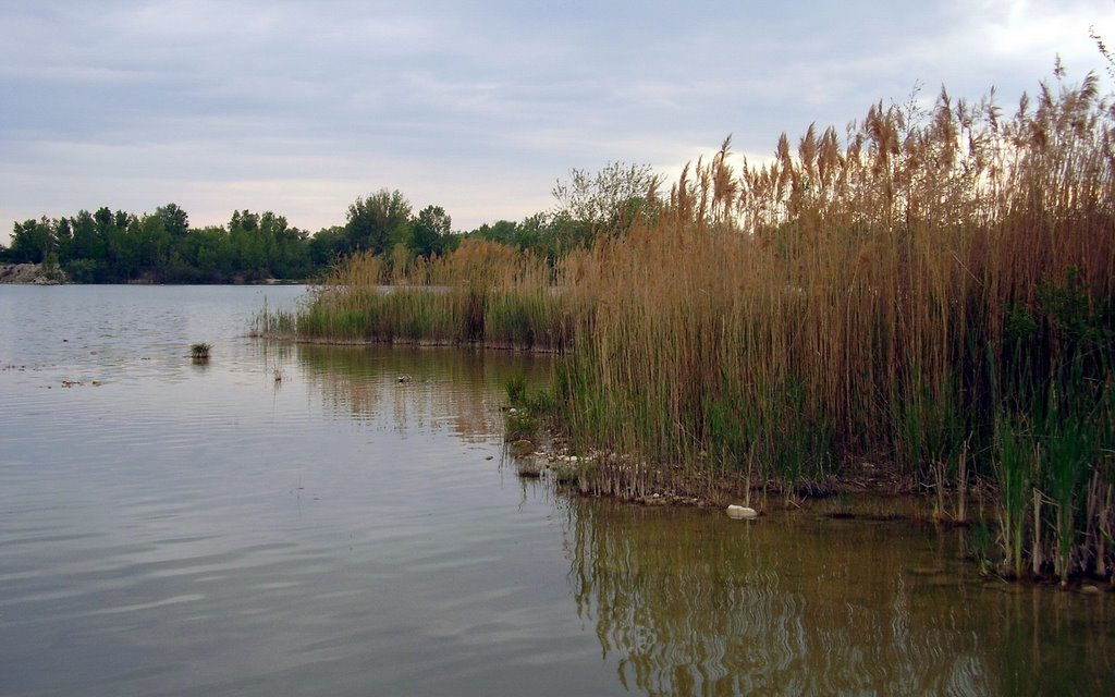 ŠTRKOVISKO by Piechov