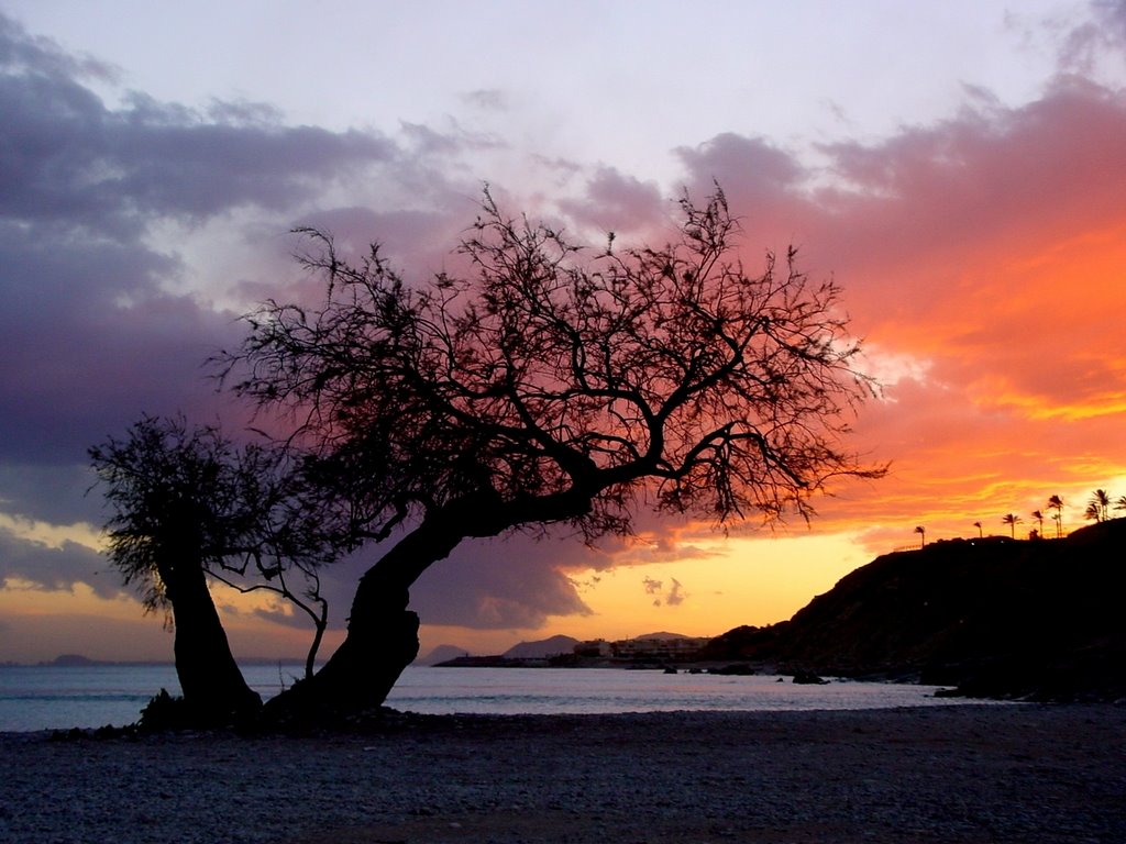 Playa del Torres by vivien69