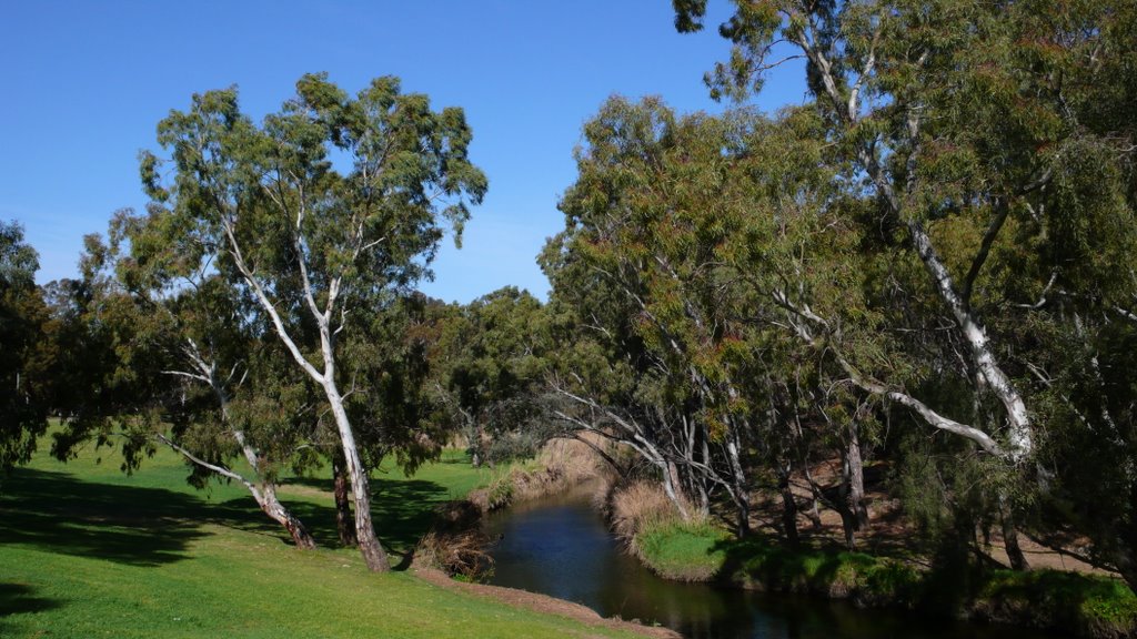 River Torrens by CraigWS