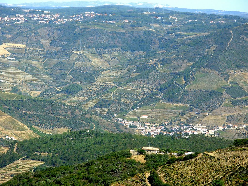 Armamar (Vista panorâmica para a encosta do Douro) by Majoca