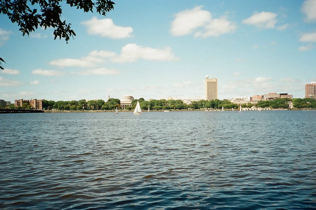 Looking at MIT from Storrow Park by PAUL RITZ