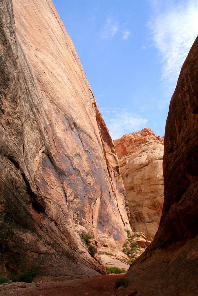 Capitol Reef Nat'l Park; Grand Wash, The Narrows by Philippe Nieto