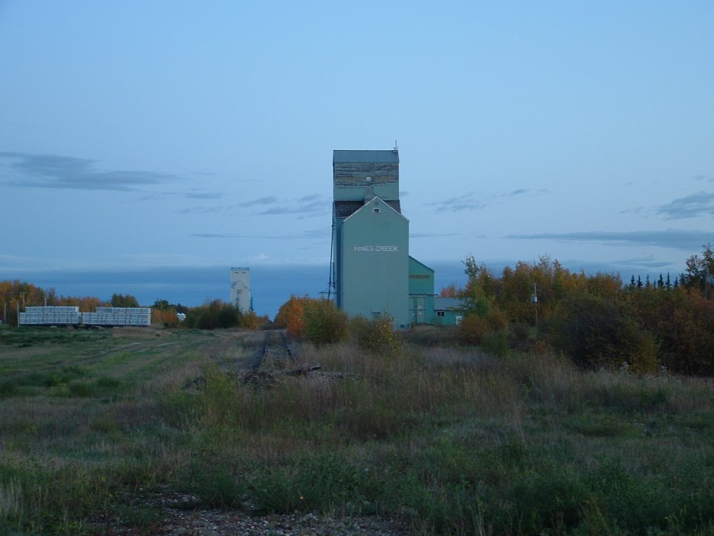 Hines Creek Elevator and the End of Steel by Vicki Atkins