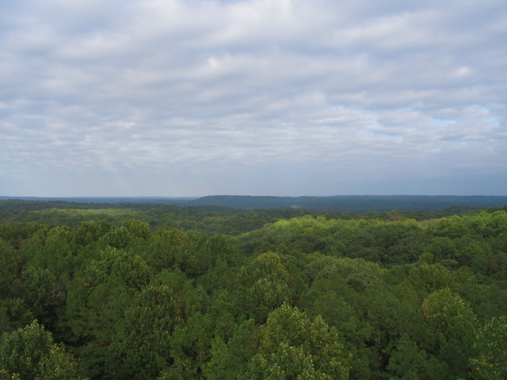 Hickory Ridge Fire Tower View 3 by emu4286